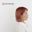 로즈헤어클럽 - 동작구 | 로즈헤어클럽