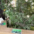 진해만 생태숲 학습관 이미지