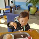 [거제 와현] 블랑블루 카페