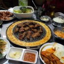 마포갈매기 이미지