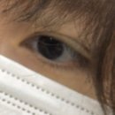 대학 후기