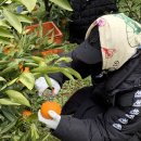 야베스농장 이미지