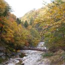 무지개탕 이미지