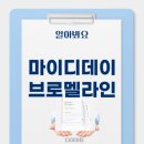 디어빈 | 마이디데이 브로멜라인 효과, 부작용, 가격, 내돈내산후기(총정리)