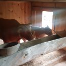 영양산촌박물관 이미지