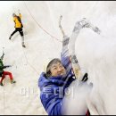 태극토탈 이미지