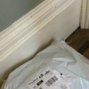 Mr.깡당구클럽 | [D+22~28] 브리스톨 4주차 일상 | 생일주간 | 레스토랑 | 가든파티 | 클럽 | 당구