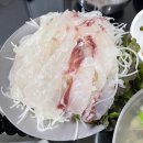 부산명물횟집 | [부산]남포동 자갈치역 부산명물횟집 회백반 후기