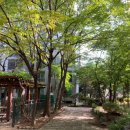 상동 현대아파트 상가 이미지