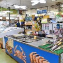 돌고래시장 이미지