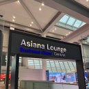 골드엔터테이먼트 | 푸켓 가는 길 | 아시아나항공 A330 비즈니스 클래스 솔직 후기 (OZ747편)