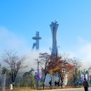 알펜시아 스포츠파크 크로스컨트리 경기장 이미지