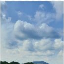 제주올래 이미지