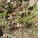 하늘지기 이미지