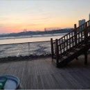 이지더원내포동행공인중개사사무소 | 배곧한라비발디 산책코스 따라가다 만난 배곧한울부동산 이야기와 배곧 라이프 꿀팁