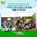 자연아부탁해 이미지