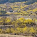 시기 1길 이미지