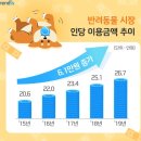 원 반려동물 미용실 이미지