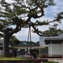 서천우리약국 이미지