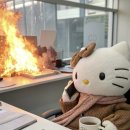 비전공자의 회계법인 취업후기