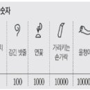 파피루스 이미지