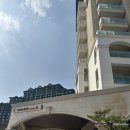 골드카인테리어 | 반려견 동반 숙소- 소노펫 비발디파크 홍천 골드스위트 파크뷰 후기