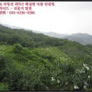 질가마골 이미지