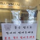 청주 유기묘카페 &#39;동네고양이&#39;