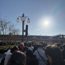 숙지 | 도쿄 가족 여행 5일차 (도쿄 디즈니랜드 꿀팁 숙지 후 실행 실패 후기)