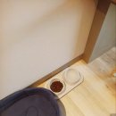 챠밍애견 이미지