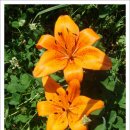 자연의소리 이미지