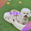 [수원 행궁동 애견카페_루프독스] &#34;행리단길에선 좀 멀지만, 걸어갈만한 이유가 있다?&#34;