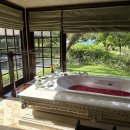 오션 클리프(4) 이미지