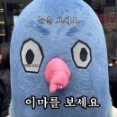 똘비