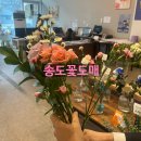 39도매 | [송도꽃도매] 인천 송도 부모님 첫 인사 꽃집 추천 │ 직접 골라 더 특별했던 내돈내산 후기
