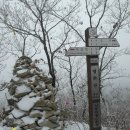 백두대간-06-중고개재-육십령( 18.27km)(12.11.일. 날씨 흐림) 이미지