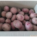 홍집농장 이미지