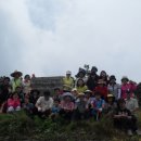 생명의 숲 이미지