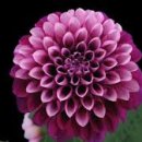 진흥아파트_서 이미지