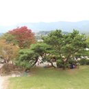 숲속에 안뜰 이미지