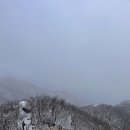 용화면사무소 | 민주지산 최단등산코스 자연휴양림 설산 산행