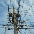 한 웅큼의 빛 이미지