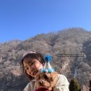 홍천통나무 펜션 | 내돈내산 홍천 애견동반펜션 노블레스노마드 홍천강뷰 가성비 펜션