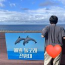 씨유제주애월가문동점 | [제주도] 도시의 침묵보다는 바다의 속삭임이 좋아요