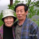 한들소풍 이미지
