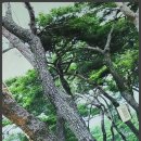 푸른파도펜션 이미지