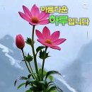 대도요양보호사교육원 네이버블로그