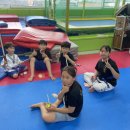 지음태권도 이미지