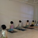 요가2.(오후반) 이미지