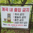 제274차 청목산악회 산행실시 결과 이미지